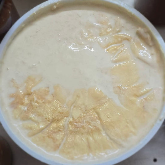 স্পেশাল ঘন শরের টক দই-Malai special tok doi
